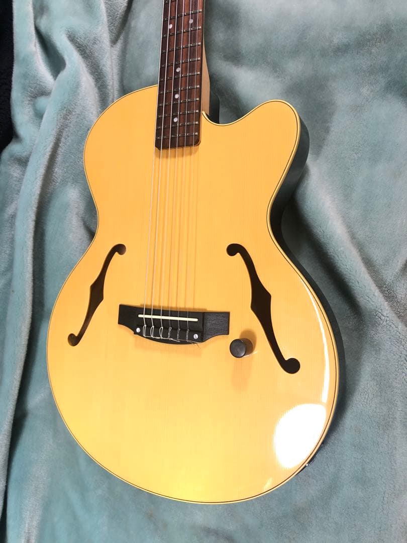 M*9様 ヤマハ　AEX500N エレガット