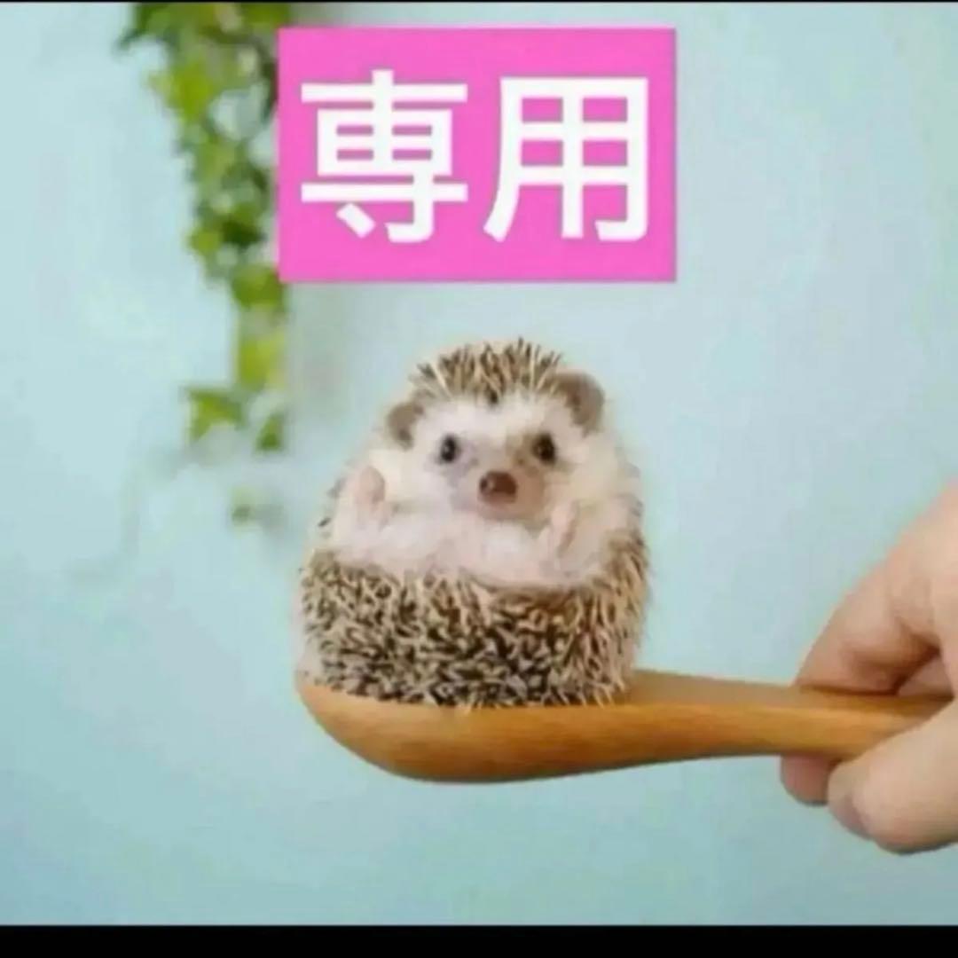 3点、リンクルセラムルミエール2点、エマルジョン1点