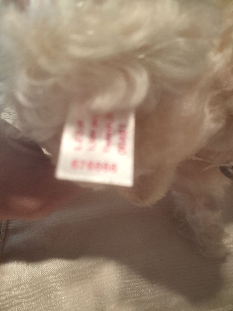 シュタイフ125年記念して2005年作られた紀宮様ご成婚記念プリンセステディベア