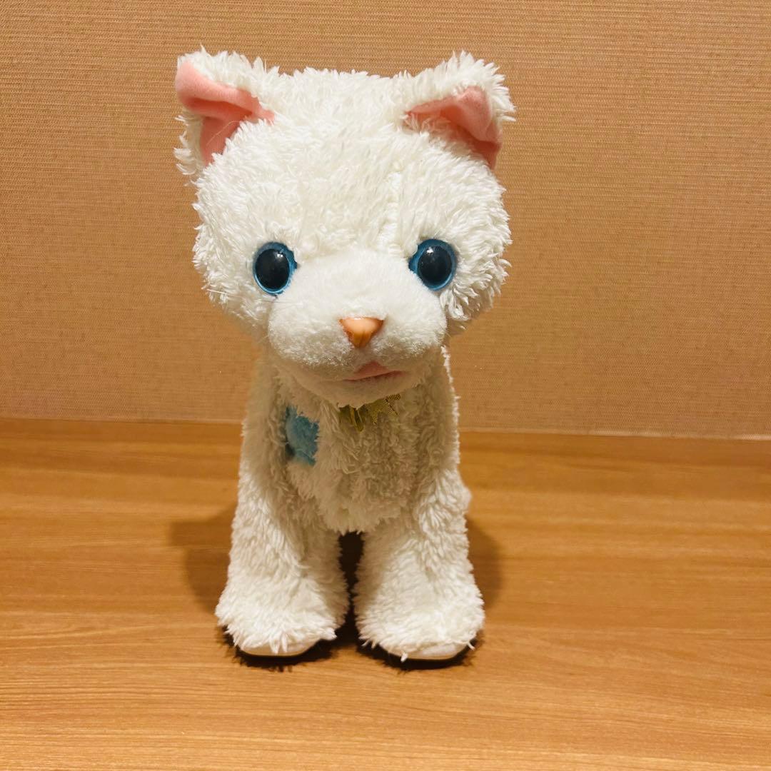 うちのヒロインキャット　さかだちニャッチー