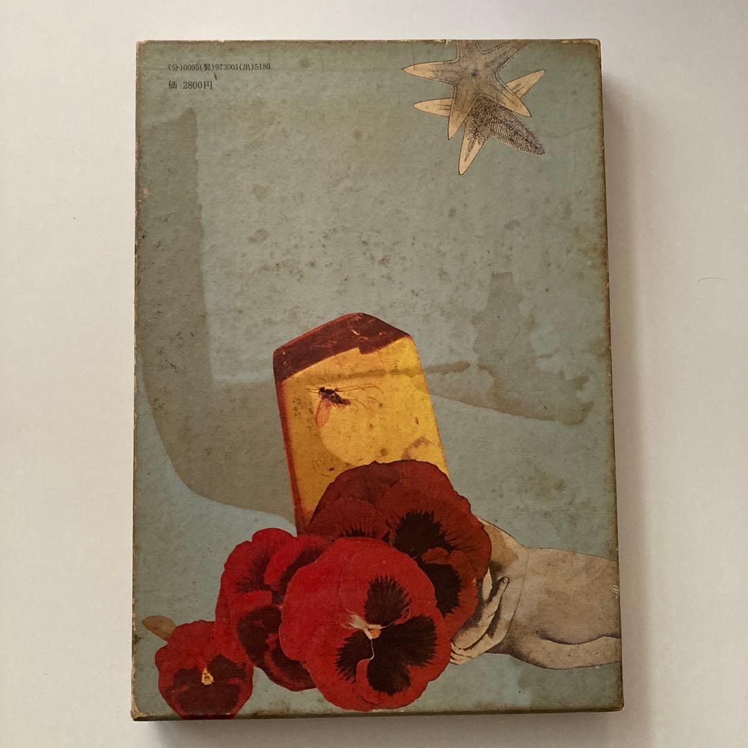 夢のある部屋　　澁澤龍彦　著　　野中ユリ装