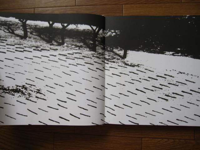 Under the skin of reality　マリオ・ジャコメッリ