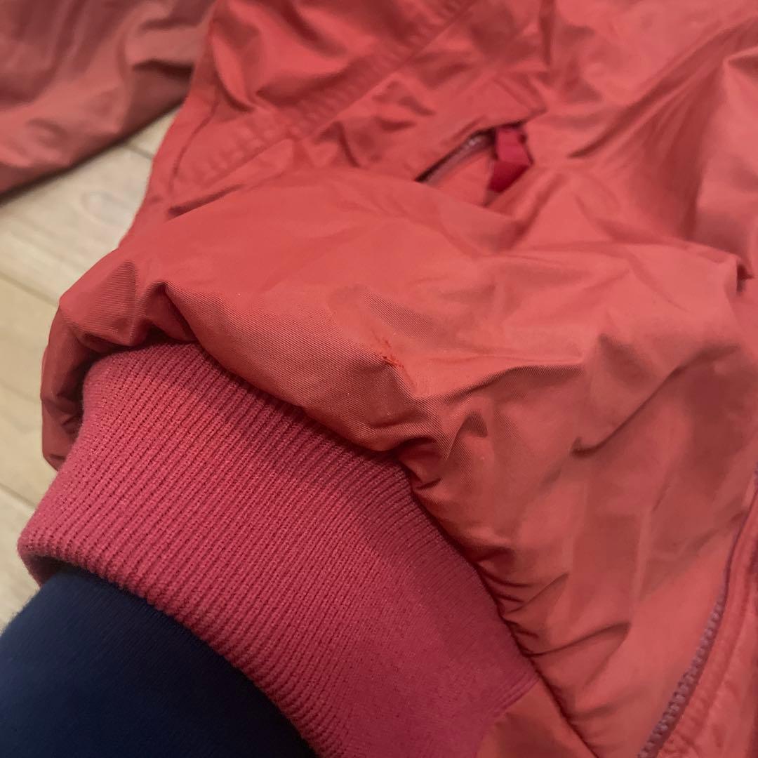 パタゴニア　シェルドシンチラ