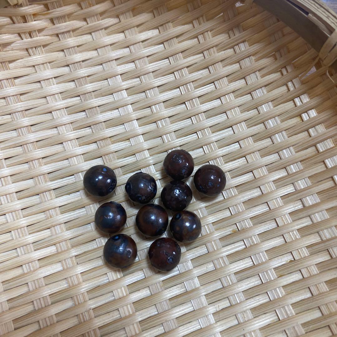 ワールドレップサービス