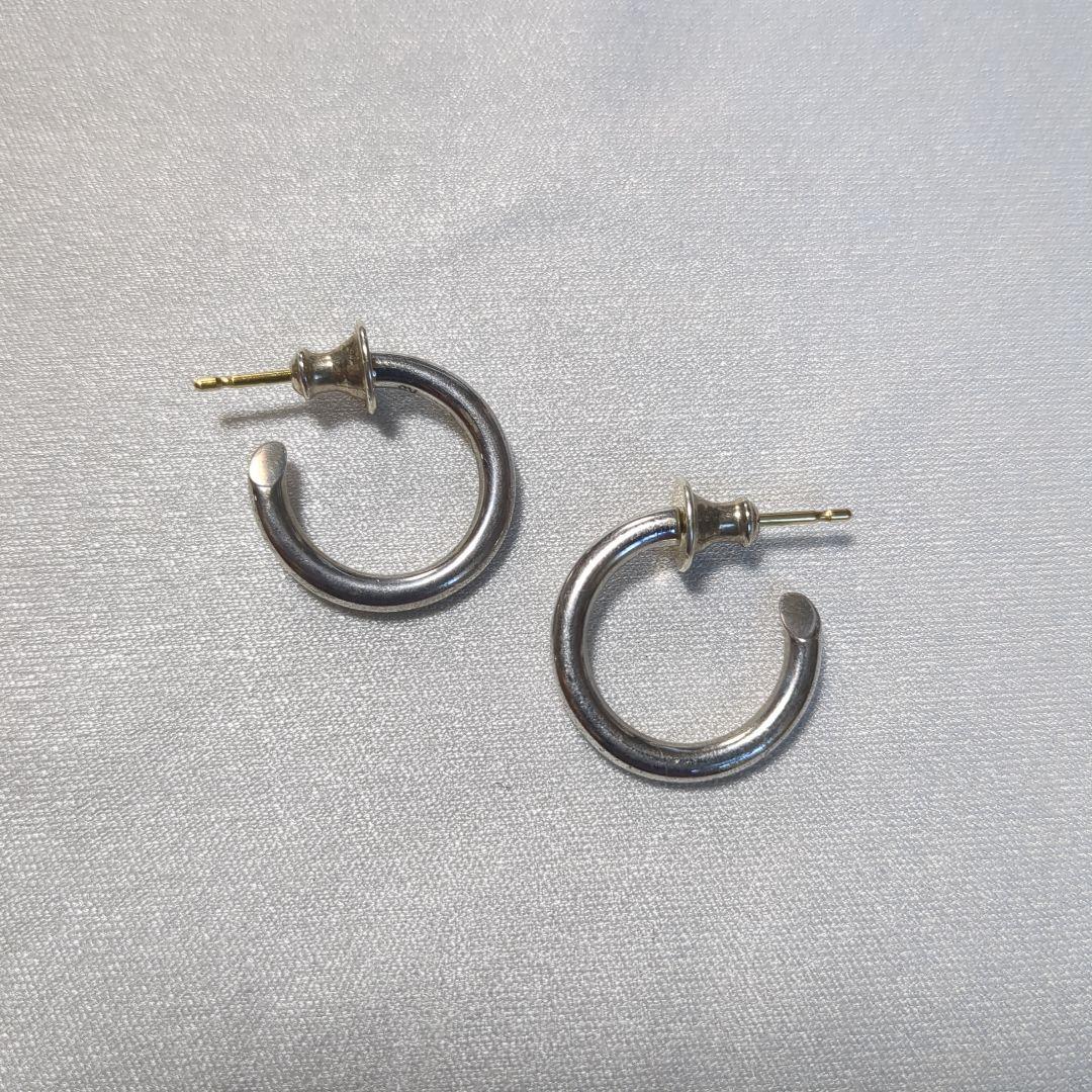 CAREERING PLACEBO 301 (SV) ピアス