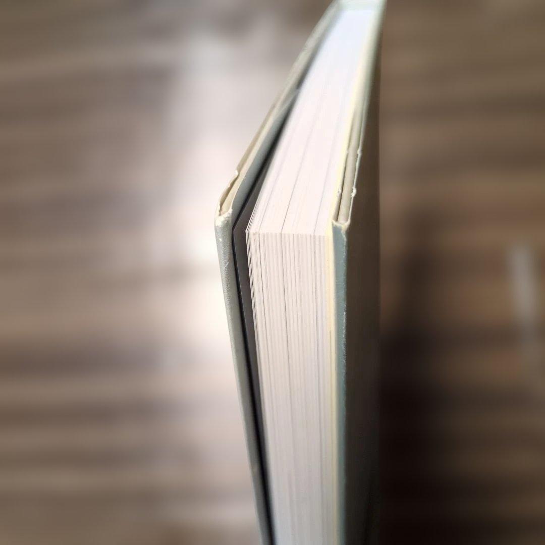 山本大貴 油彩画集 限定版300部 サイン入