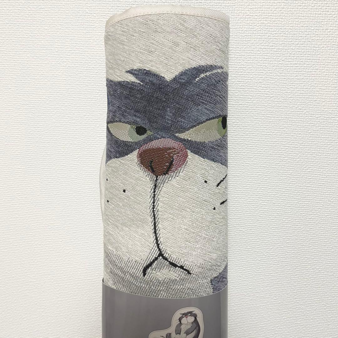 ディズニーストア トイストーリー ロッツォ ユニベア ダッフィー コスチューム