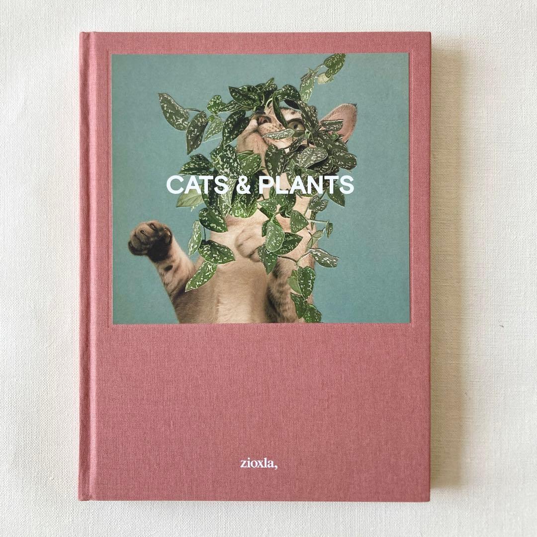 Cats&Plants Stephen Eichhorn 洋書 猫 写真集