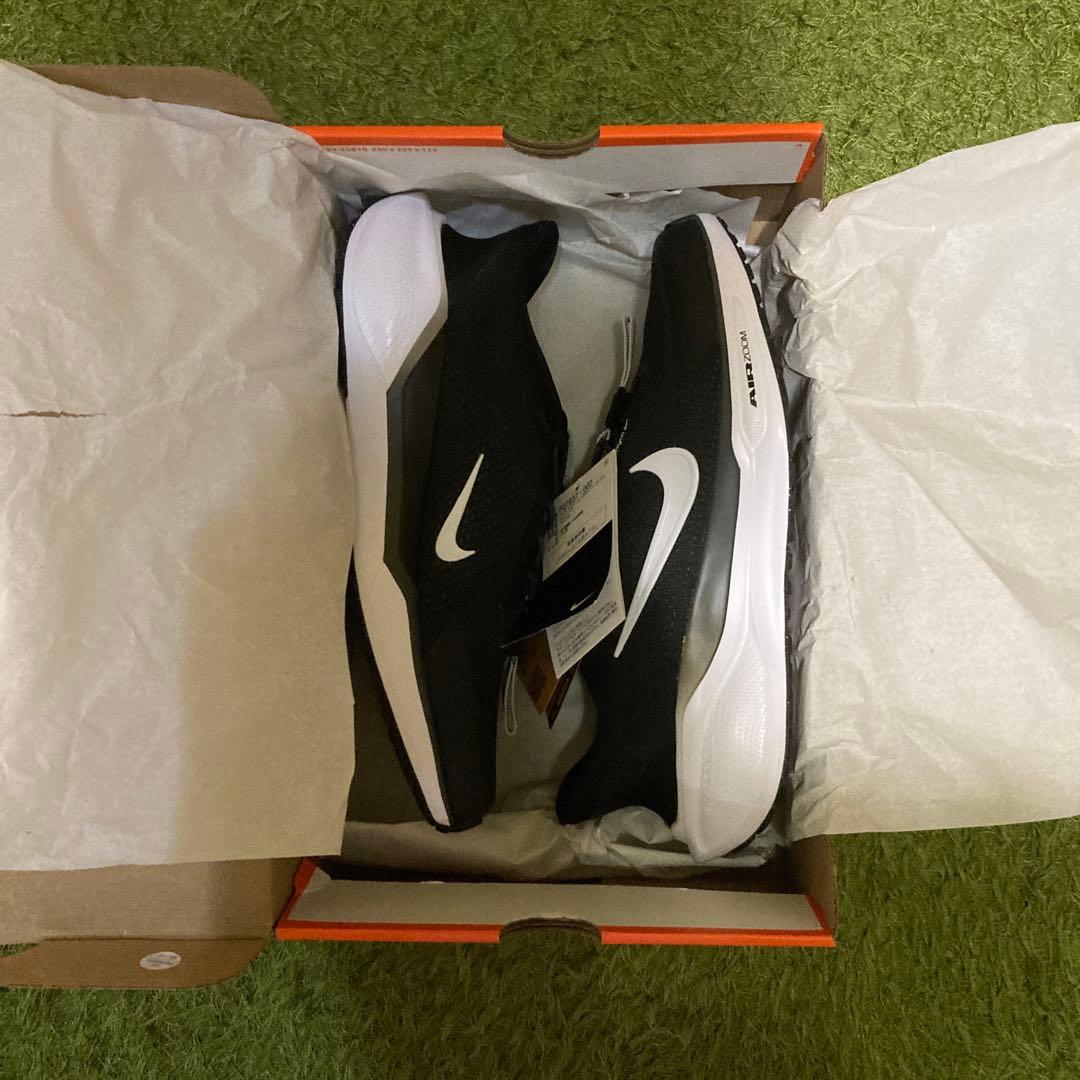 NIKEペガサス イージーオン ブラック/FQ7837-002 限定商品