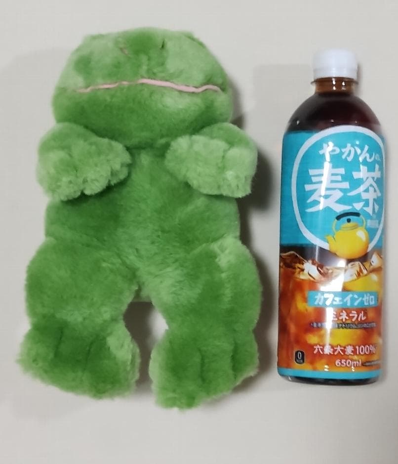 24K Polar Puff カエル ぬいぐるみ #4089 Riley