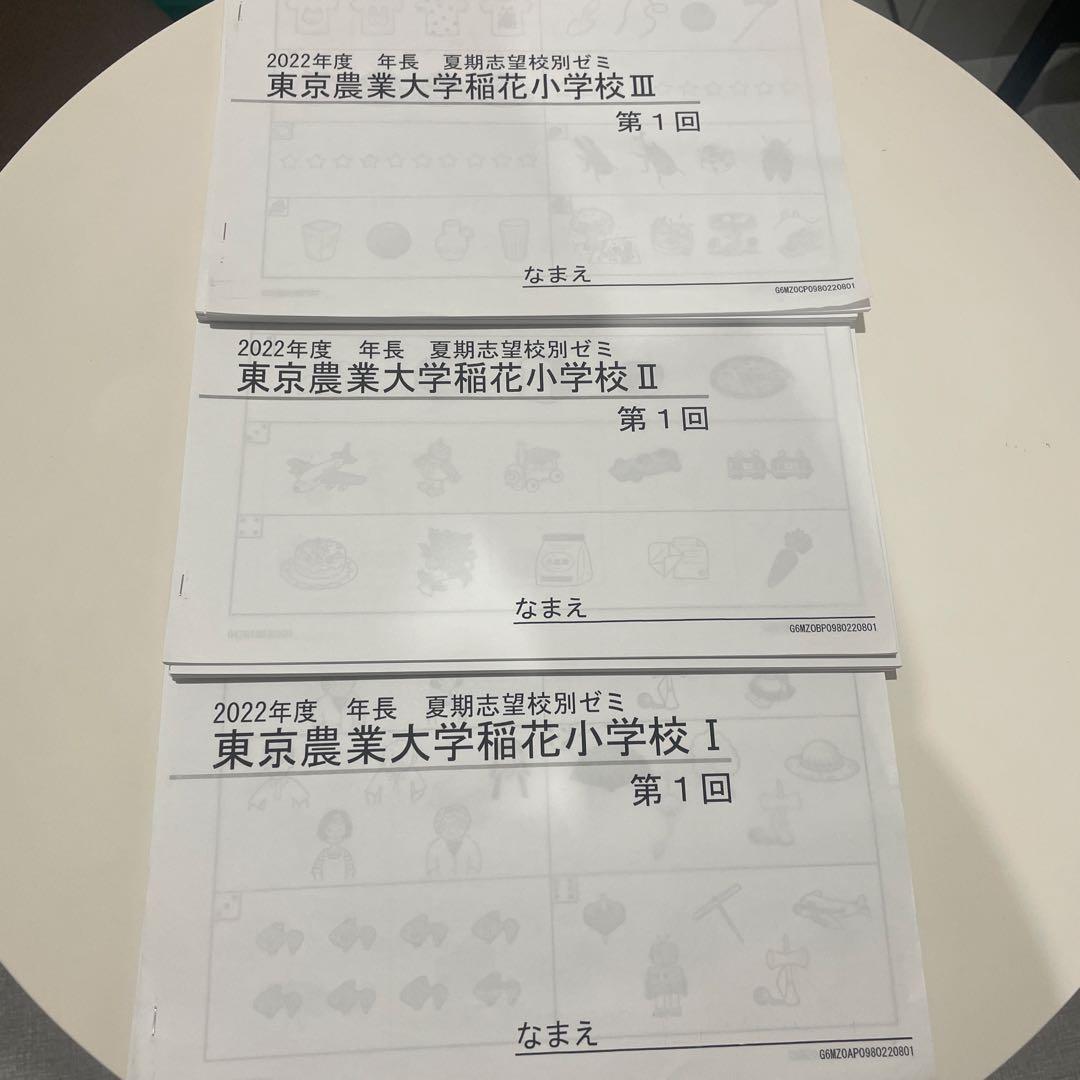 東京農業大学稲花小学校 理英会 夏期講習 プリント　12冊　内容表設問解答付き