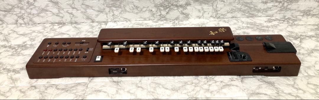 【完動品 美品】SUZUKI 電子大正琴 TES-101 16種類の音色 希少品