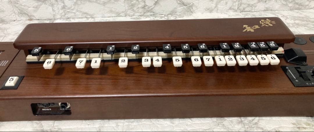 【完動品 美品】SUZUKI 電子大正琴 TES-101 16種類の音色 希少品