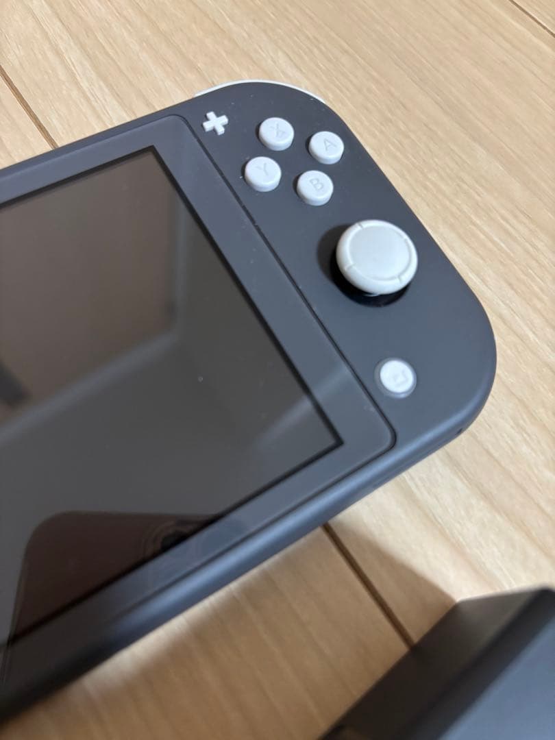 Switchライト　本体