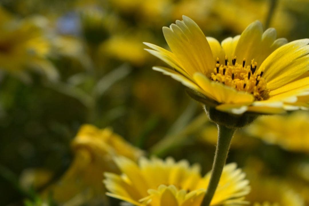 Nikon D3400 一眼レフ 美品