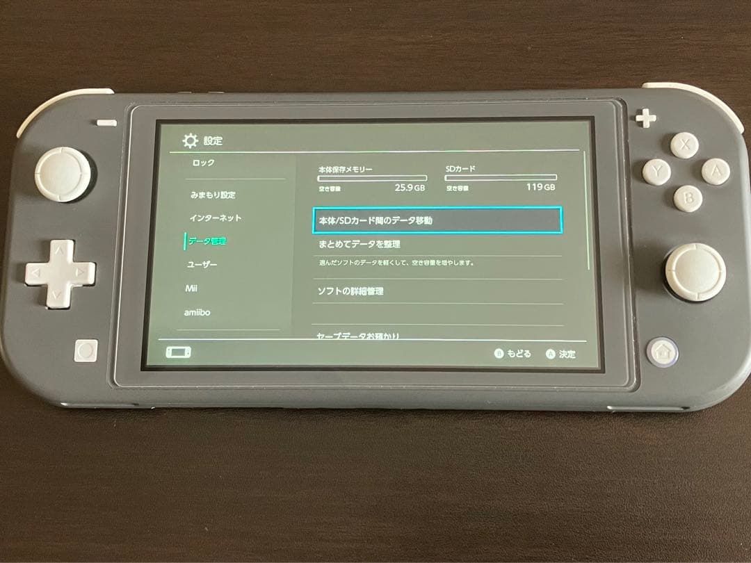 switch lite本体と電源ケーブル及びケース他