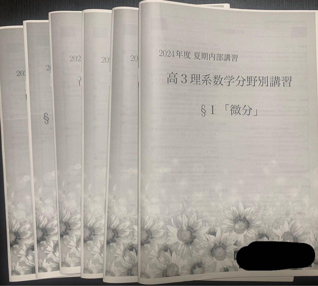 鉄緑会 2024 高3 夏期講習 理系数学分野別 テキスト 冊子 プリント