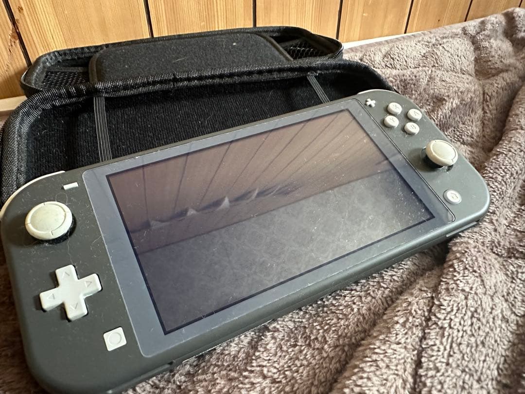Nintendo Switch Lite グレー ケースとカセット付き