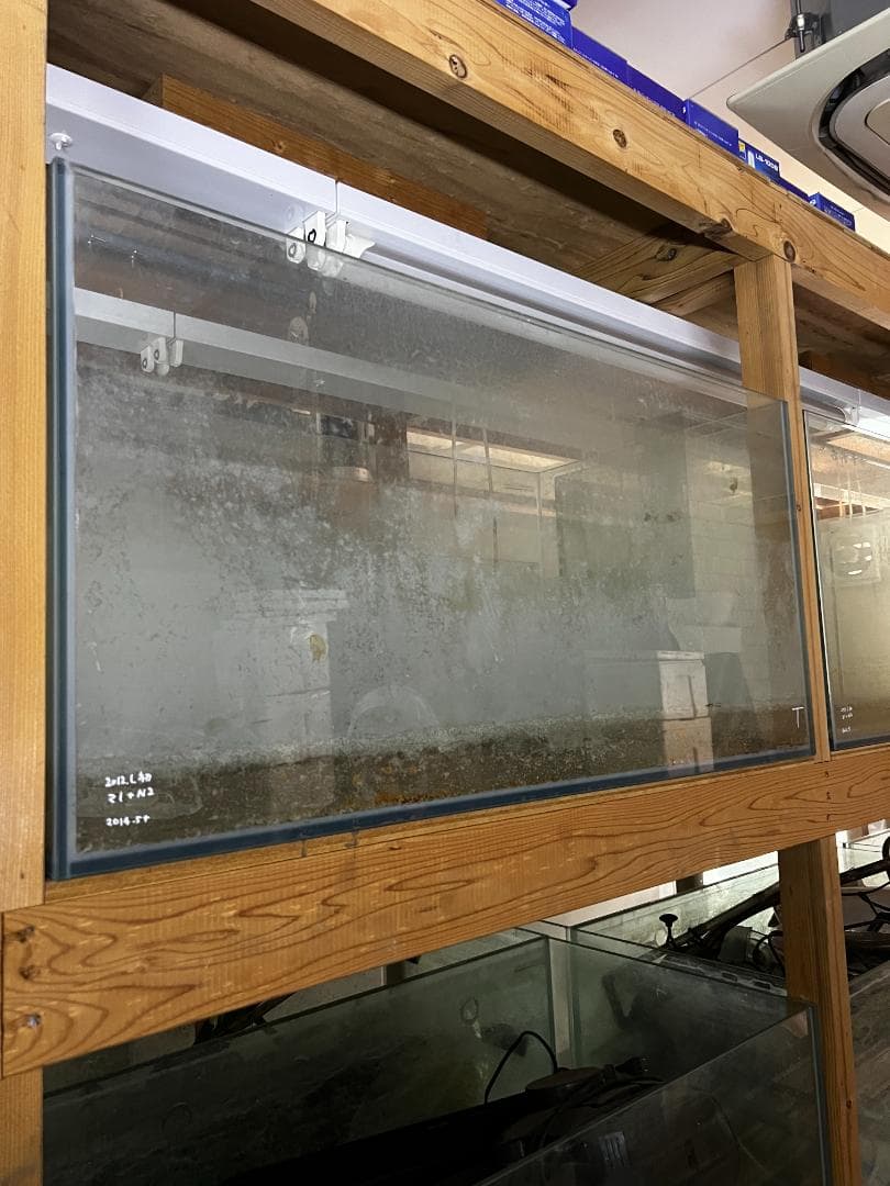 ススキガラス水槽2台セット 使用済品 中古 汚れあり 引き取り限定(埼玉)