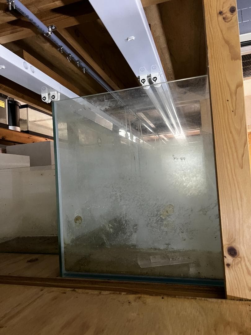 ススキガラス水槽2台セット 使用済品 中古 汚れあり 引き取り限定(埼玉)