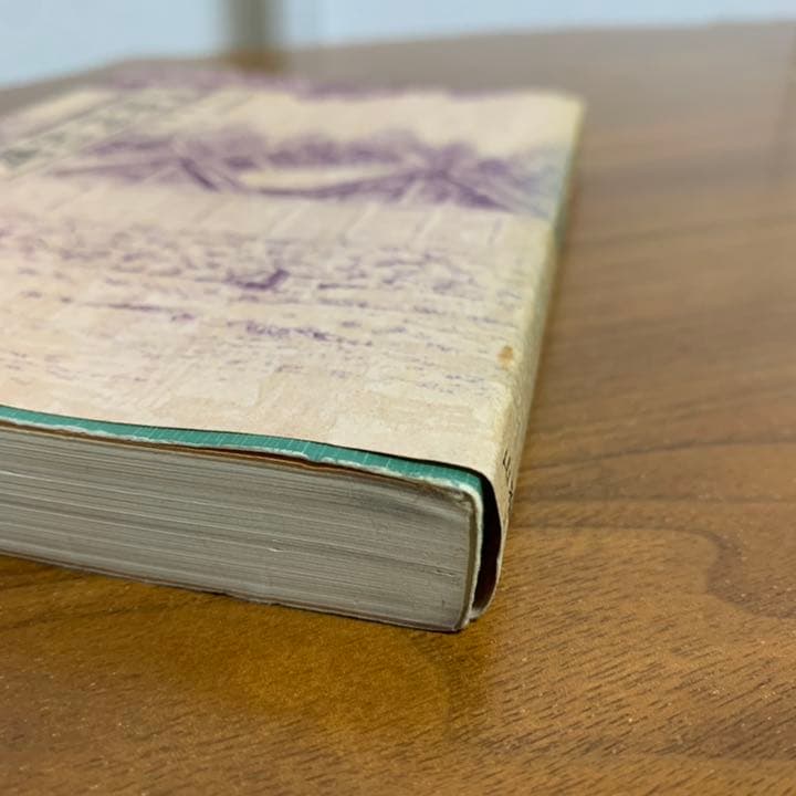 【希少！】口語 神判記實 神異霊験実話集 皇大神宮主典 山口起業原撰