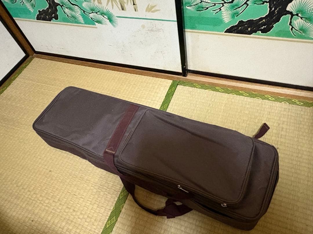 本皮三線（水牛バチ、チューナー、ソフトケース、予備弦付き）