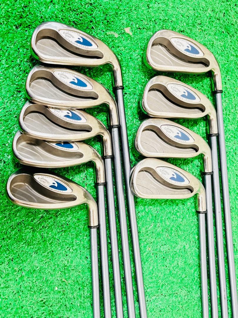 P*2様 キャロウェイ Hawk Eye ホークアイ 9本セット フレックスR