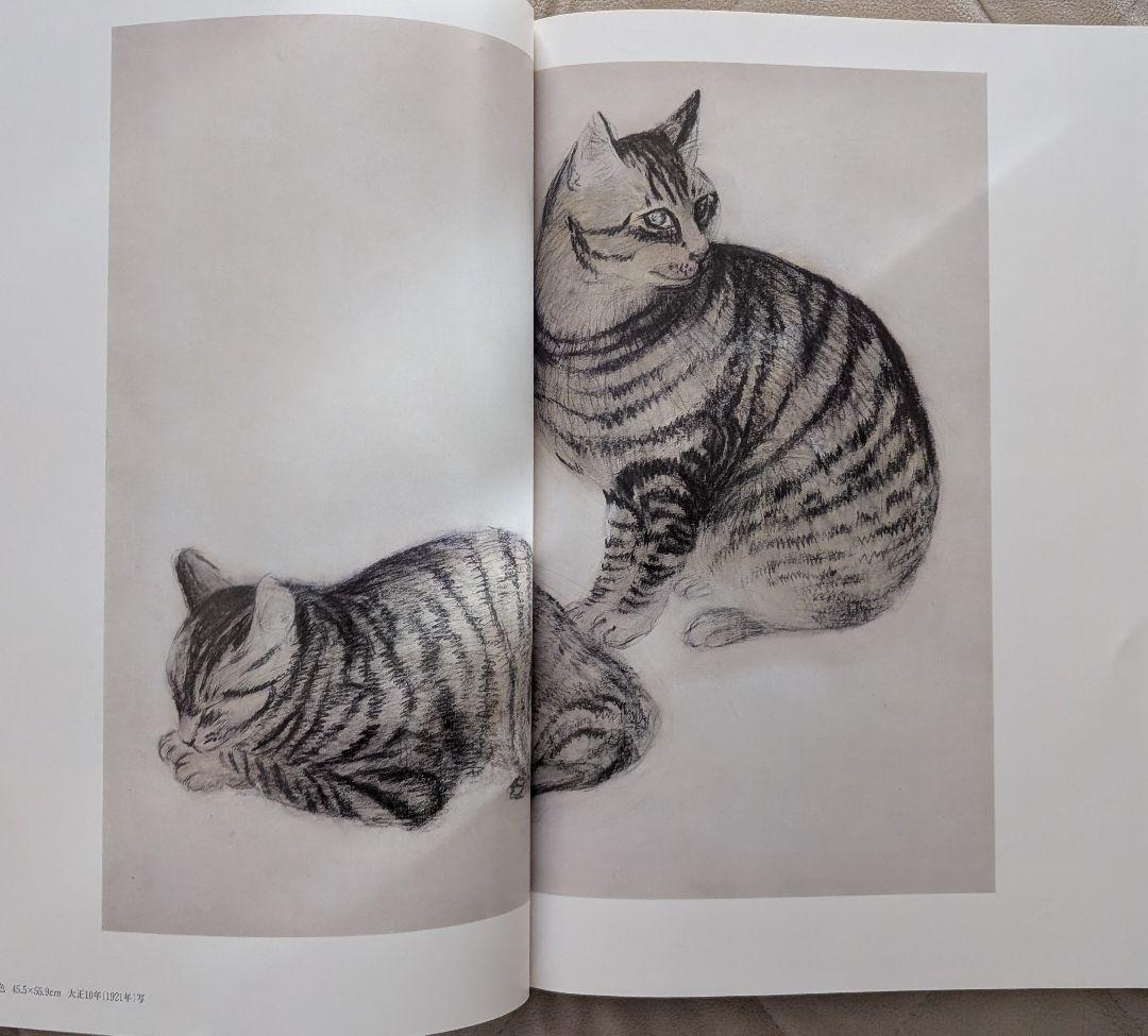 【４５年前に購入】　速水御舟 作品集