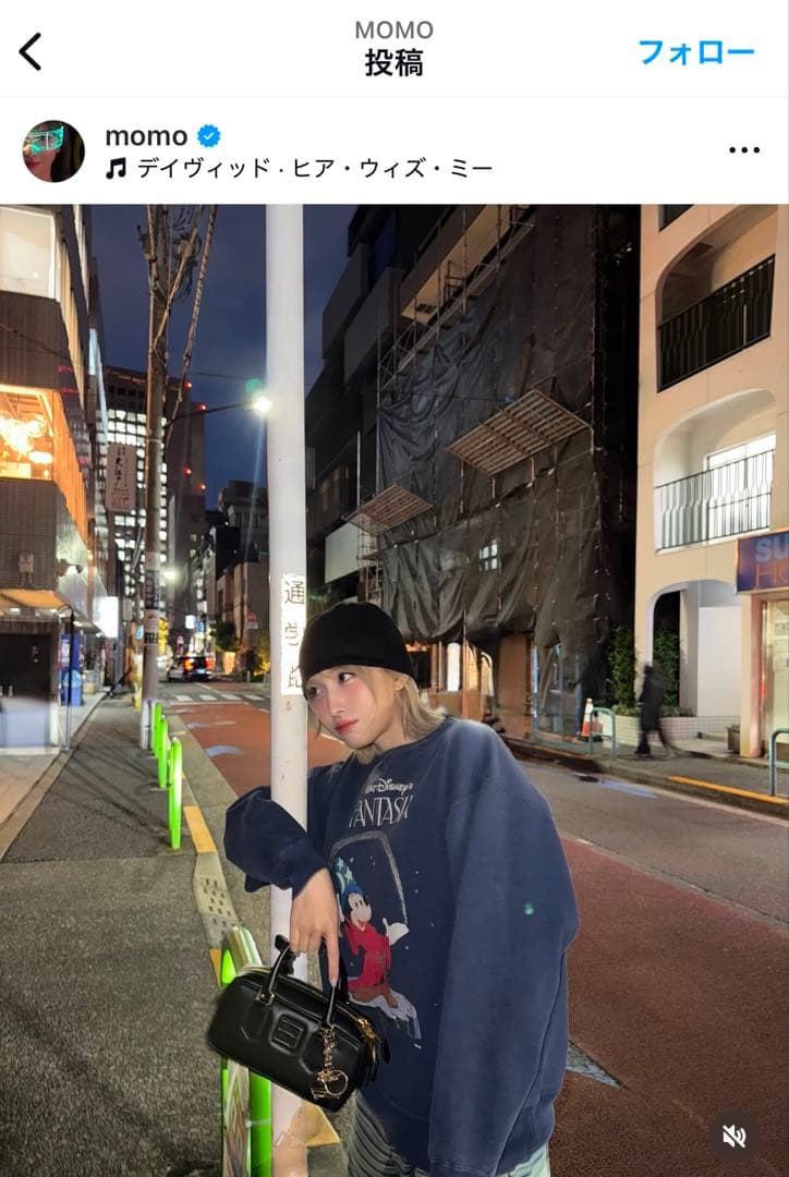 セントマイケル　Disney's Fantasia トレーナー Lサイズ