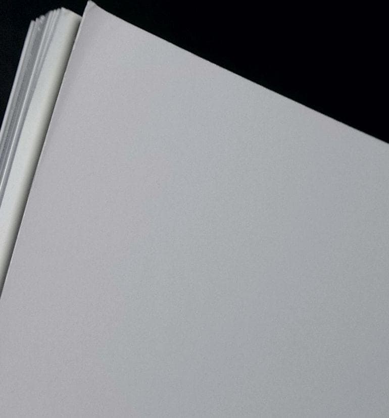 趙之謙の書画と北魏の書 図録