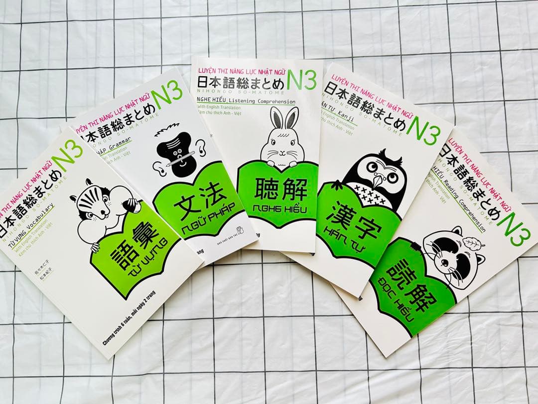 新品　日本語総まとめN1 N2 N3 N4 N5（ベトナム語・英語版） 18冊