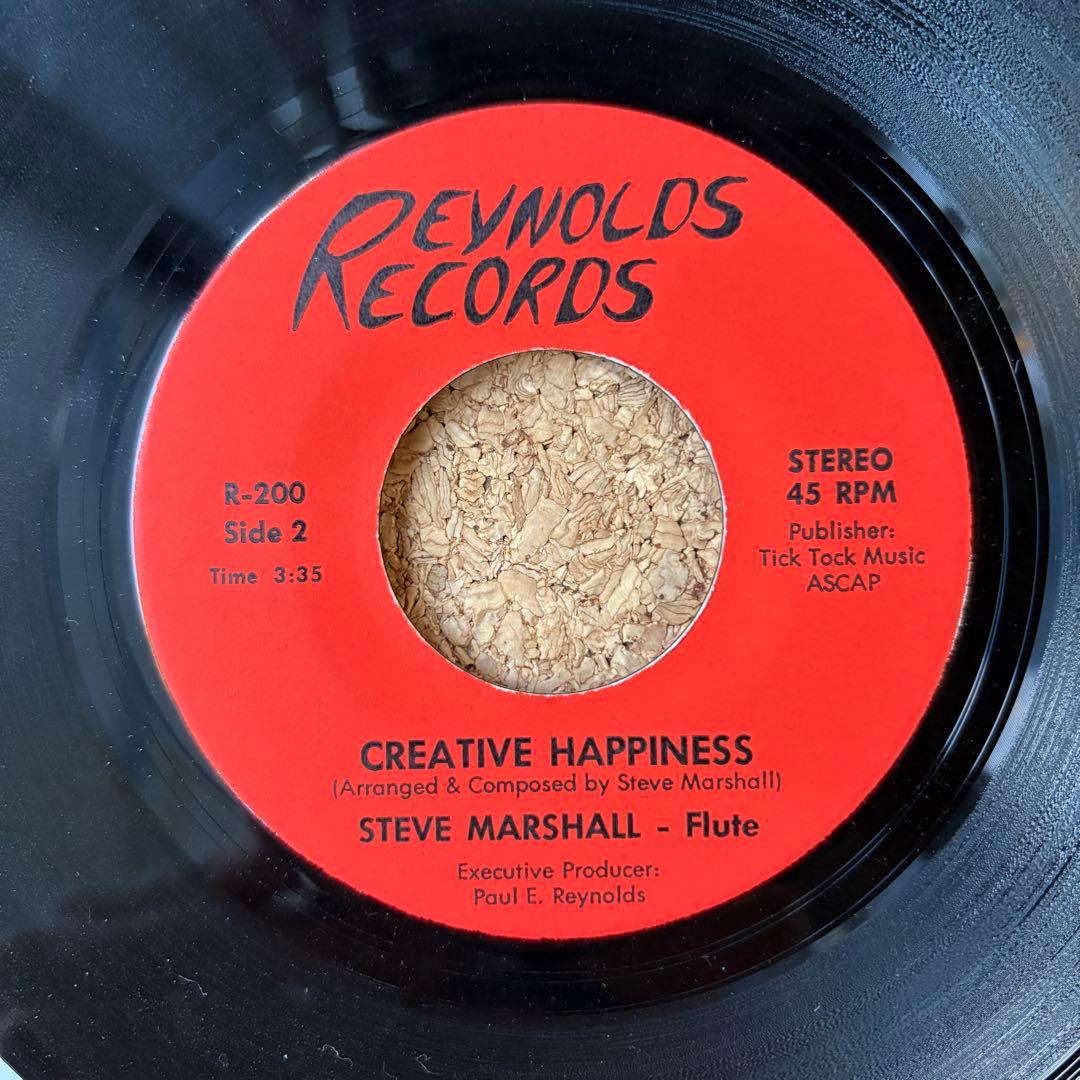 美品・ディープファンク【Steve Marshall・maintain】