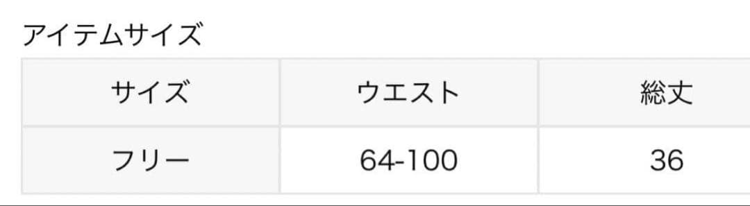 CHAMPION×JOURNALSTANDARD×HOLIDAY ミニスカート
