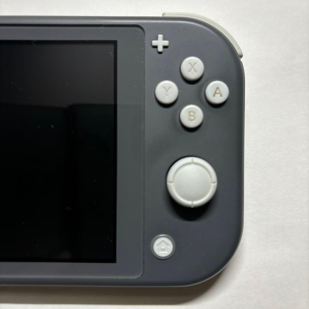 Nintendo Switch Lite グレー 本体+ゲームソフト