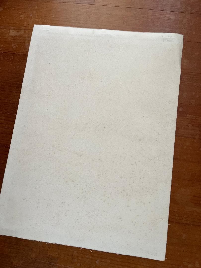 ☆貴重本人サイン入　SAVIGNAC Musee de L'affiche’82