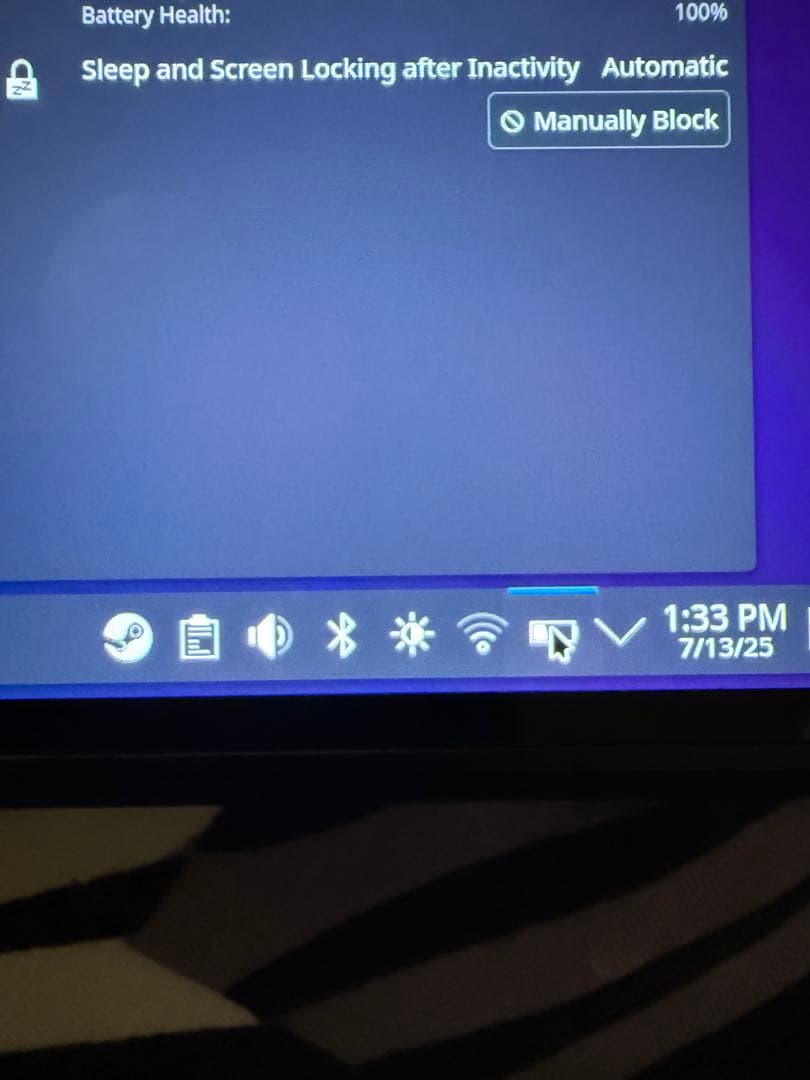 Steam Deck OLED 512GB (ほぼ未使用)