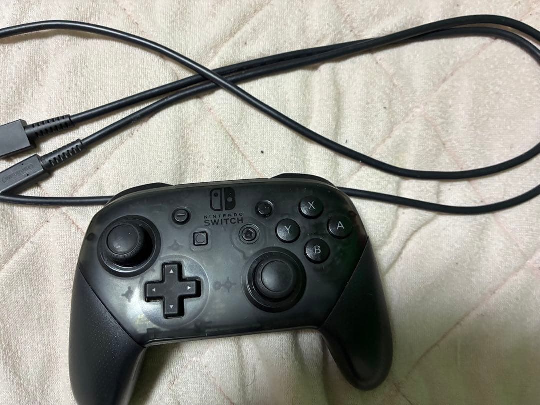 Nintendo Switch Lite グレー ゲームソフト多数　まとめ