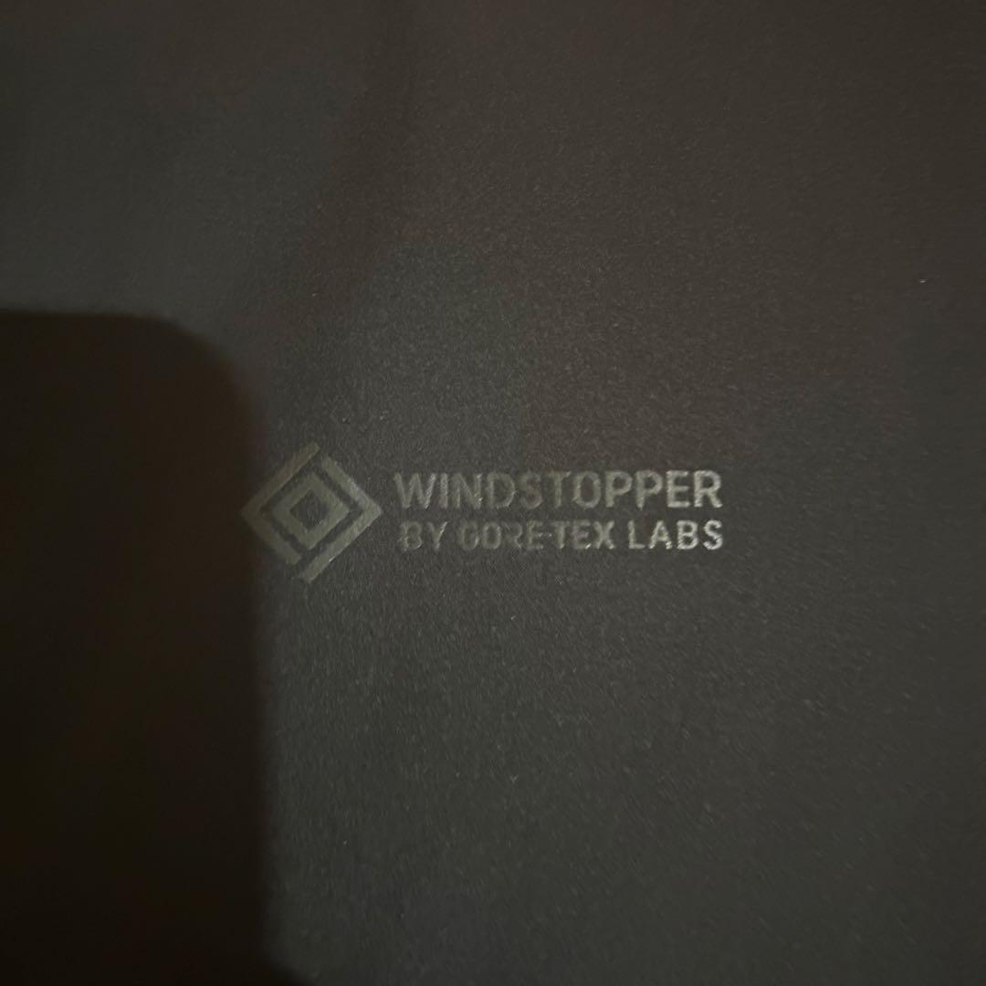 DAIWA PIER39 GORE-TEX VEST ブラックS