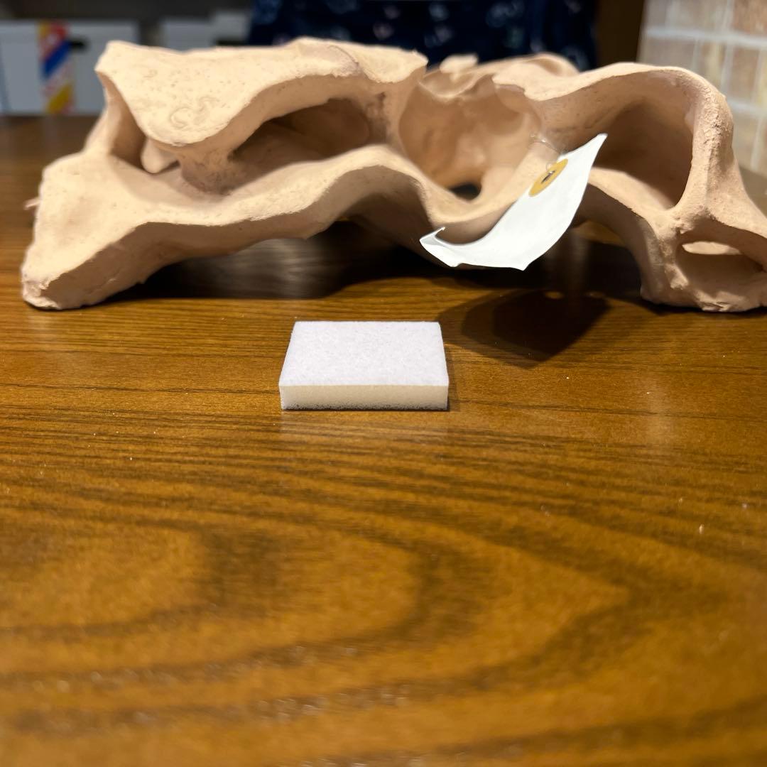 価格相談可）シェルタクラフタ　2個