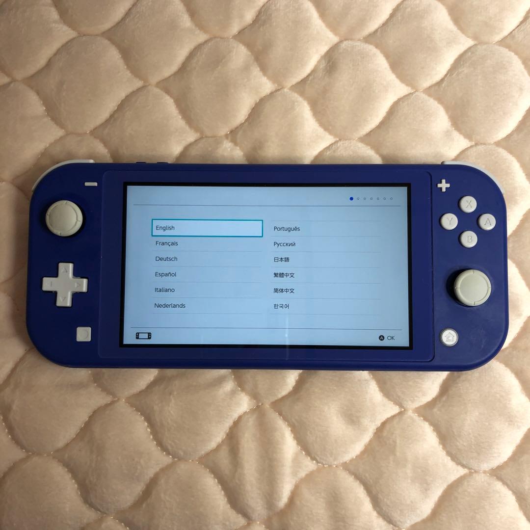 Nintendo Switch Lite 本体【ジャンク】