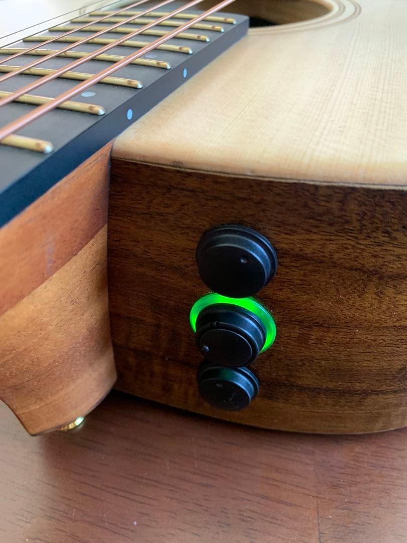 コーラス・リバーブ内蔵エレアコ　James J-300CI I SNT