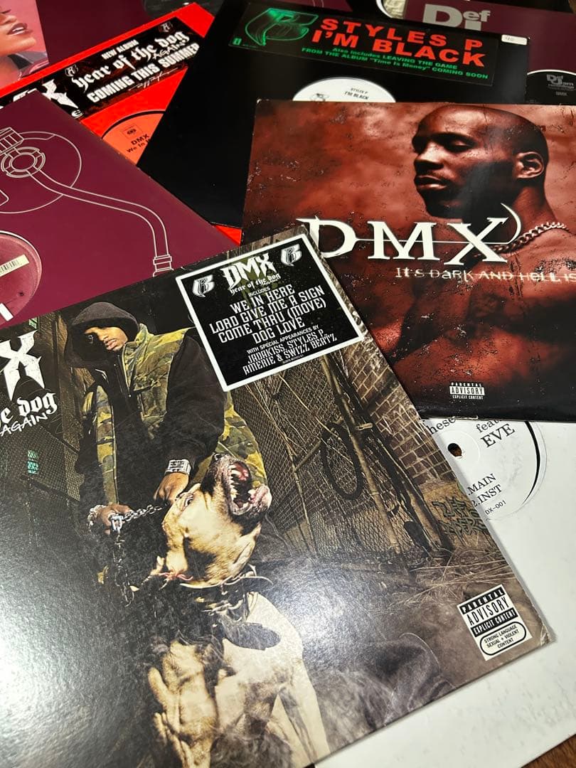 DMX レコード11枚セット　イヴ　ラフライダース