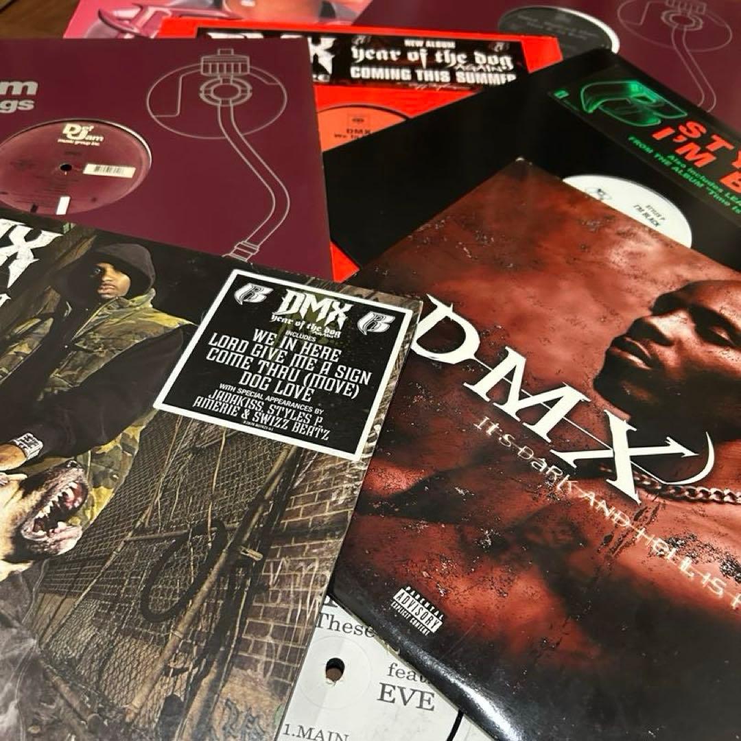 DMX レコード11枚セット　イヴ　ラフライダース