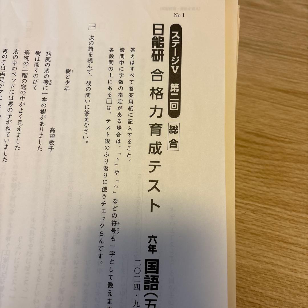 日能研　2024年　6年生　合格力実践テスト　合格力育成テスト　後期12回分
