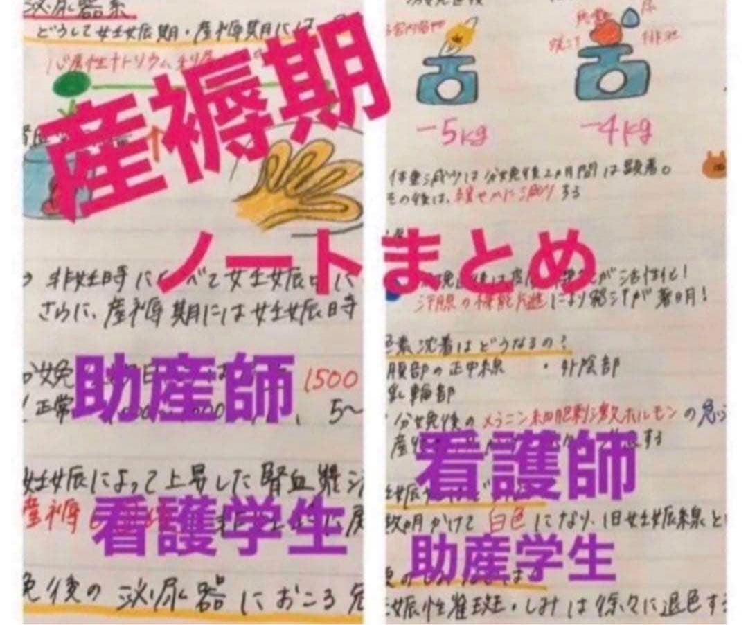 助産師　助産学生　実習国家試験対策味方セット　解剖帝王切開　フィジカル　事前学習