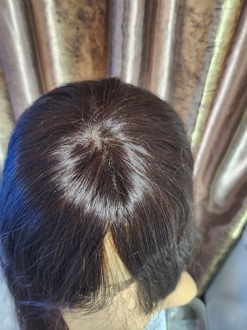 高級人毛100% ストレートウィッグ ロング