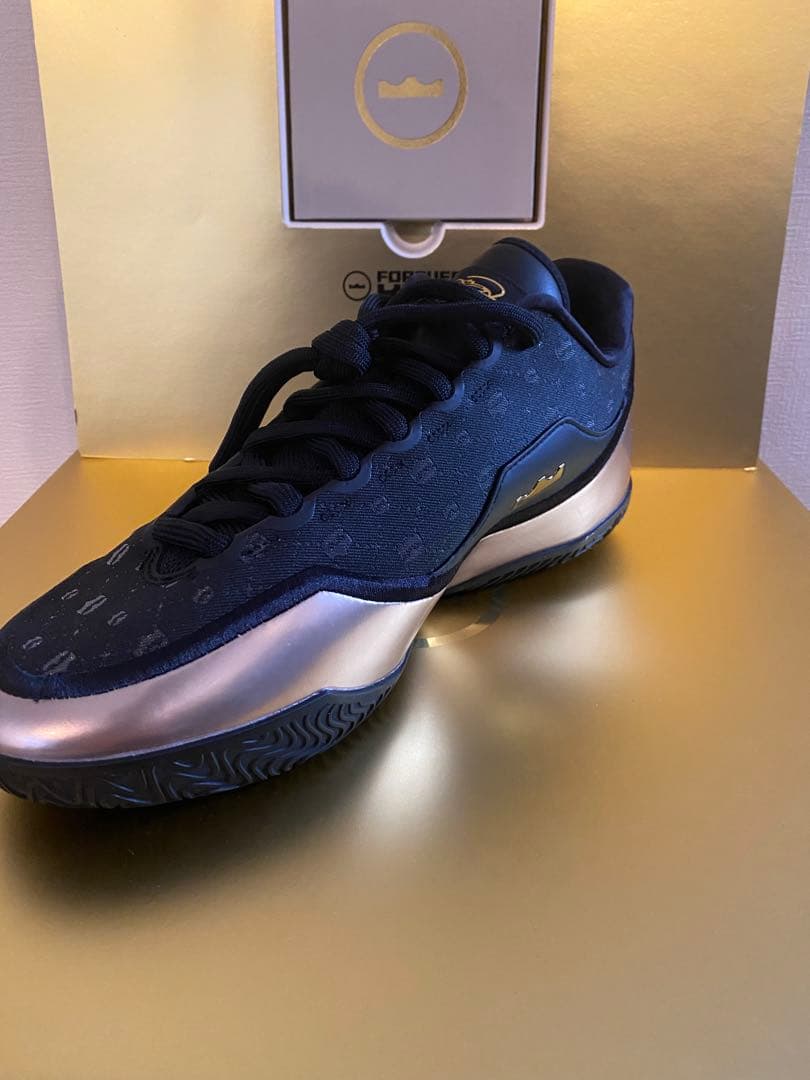 シューズ(男性用) LEBRON XXIII LUX EP 10 (UK 9)