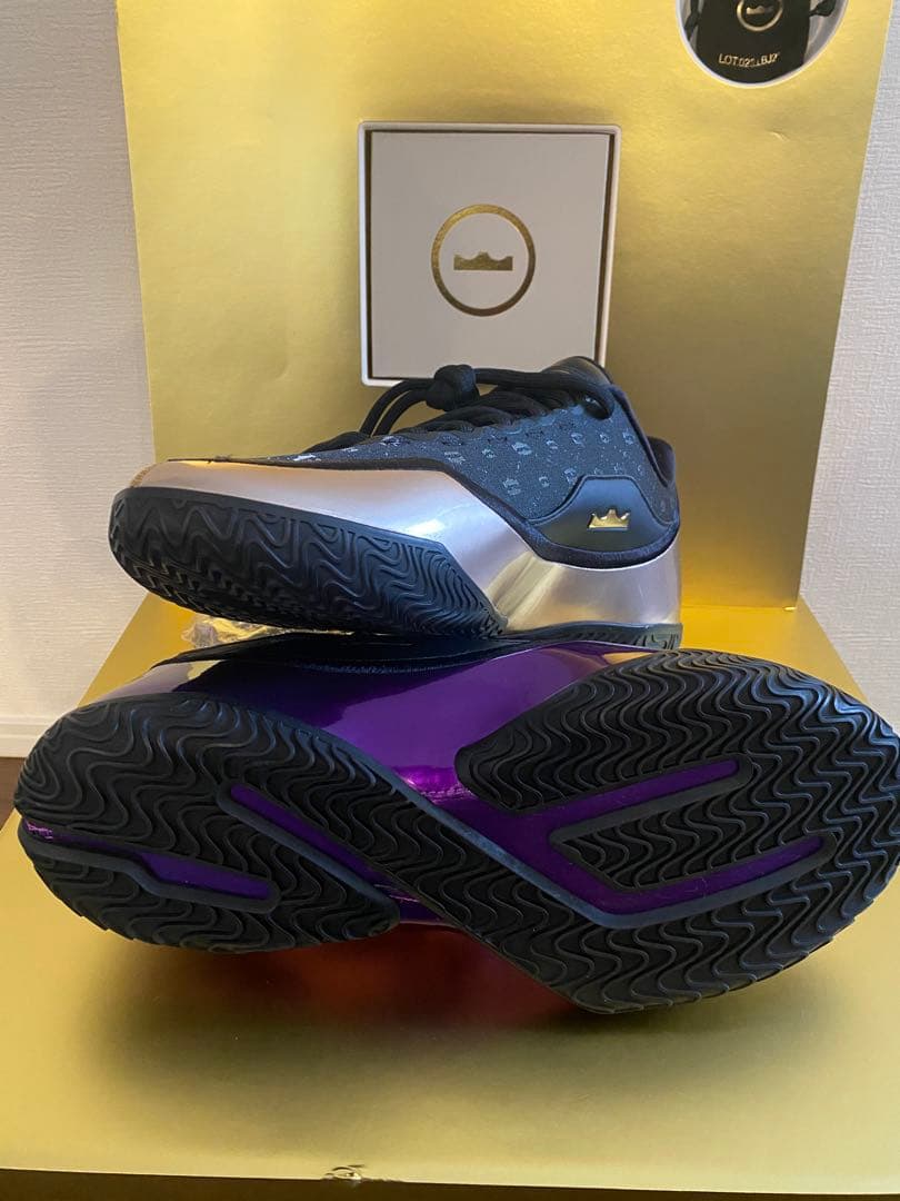 シューズ(男性用) LEBRON XXIII LUX EP 10 (UK 9)