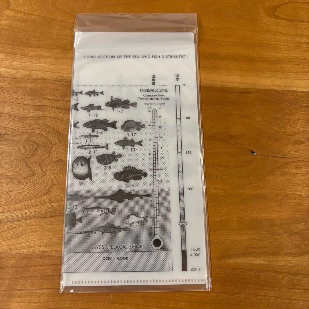 魚図鑑 3CD 魚大図鑑 完全生産限定 プレミアムBOX盤 サカナクション