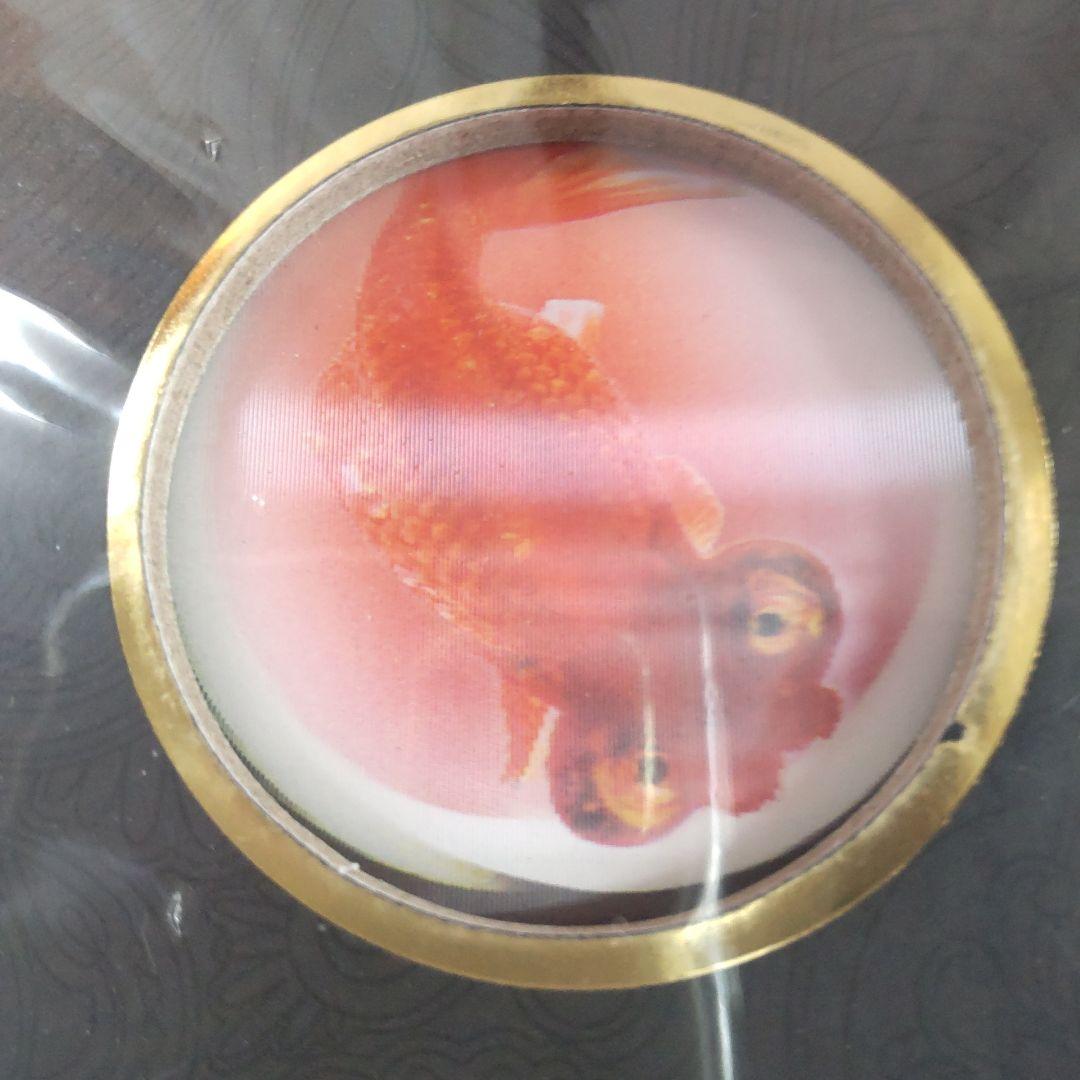 【未開封新品】シュリンク有　中国金魚図鑑・専門書